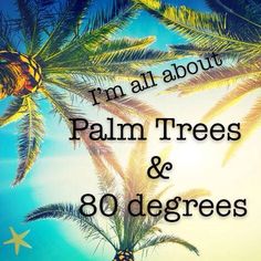 palm trees with the words i'm all about palm trees and 80 degreess