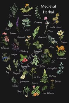 a black poster with flowers and herbs on it's side, labeled in the words medeval herb