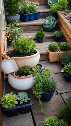 several potted plants are sitting on the steps