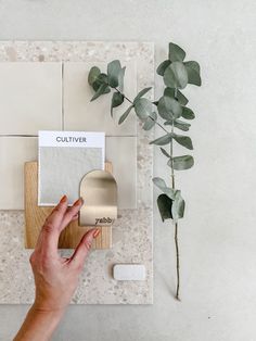 a person's hand is touching the wall with a plant in front of it