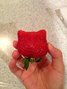 a hand holding a strawberry with water droplets on it