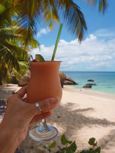 a person holding up a drink in front of the ocean on a tropical beach with palm trees