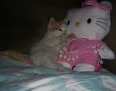 a cat laying on top of a bed next to a hello kitty stuffed animal toy