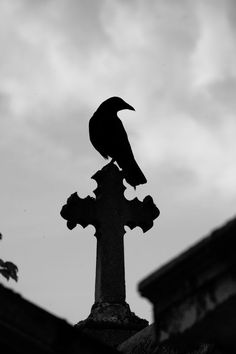 a black bird sitting on top of a cross