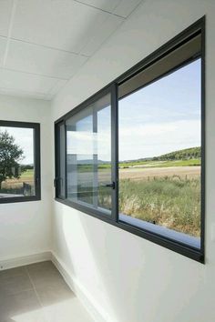 an empty room with two windows and a tree in the window sill next to it