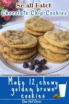 chocolate chip cookies on a plate with milk