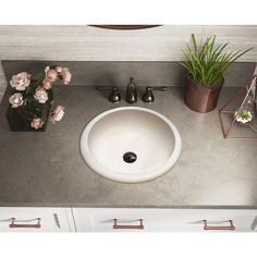 a white sink sitting on top of a counter next to flowers and potted plants