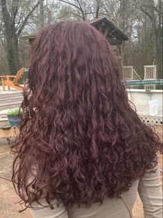 Mahogany Hair Color On Curly Hair, Natural Red Wine Hair Color, Burgundy On Curly Hair, Red Lowlights In Brown Hair Curly, Dark Reddish Brown Curly Hair, Red Wine Hair Color Dark Curly, Dark Cherry Brown Hair Curly, Dark Maroon Curly Hair, Dark Brown Red Hair Curly