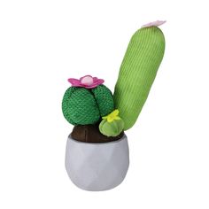 a green cactus with pink flowers in a white vase on a white background for decoration