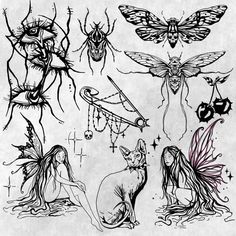 an ink drawing of different types of insects