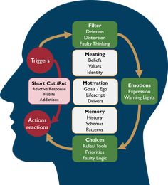 a diagram showing the stages of emotions and feelings in a person's head, with arrows