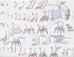 a drawing of different types of hands and feet