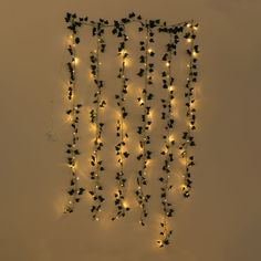 a string of lights hanging from the side of a wall next to a clock with vines on it