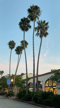 palm trees line the street in front of a shopping center at dusk, with lights on