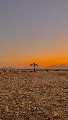 a lone tree in the middle of an open field with mountains in the background at sunset