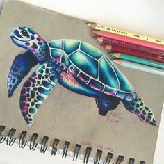 a drawing of a turtle with colored pencils next to it