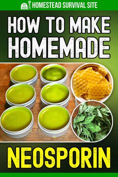 Homemade Neosporin, Herbal Garden, Diy Herbal Remedies, Herbal Remedies Recipes, Survival Ideas, Herbal Salves, Eating Tips