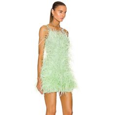 Cult Gaia Zariah Feather Mini Dress In Green Aloe Color. Worn One Time, Comes In Original Garment Bag Packaging. So Cute And Fun! Open To Offers! Chic Ostrich Feather Mini Dress For Evening, Glamorous Summer Dress With Feathers, Glamorous Feathered Summer Dress, Chic Ostrich Feather Dress For Night Out, Elegant Sleeveless Dress With Ostrich Feathers, Chic Ostrich Feather Mini Dress For Party, Luxury Spring Dress With Feather Trim, Summer Mini Dresses With Feathers, Summer Feather Mini Dresses