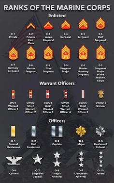 the ranks of marine officers and their insignias