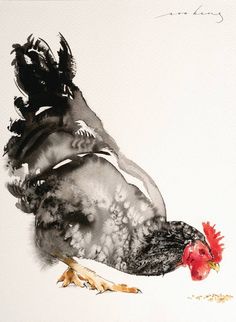 a watercolor painting of a rooster on a white background with black and red feathers