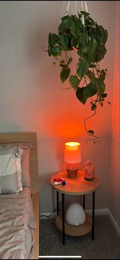 a small table with a lamp on it next to a bed and a potted plant