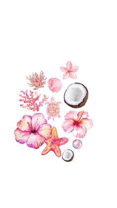 watercolor painting of pink flowers, coconuts and sea shells on white background with space for text