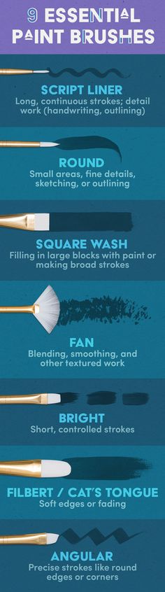 the different types of brushes are shown in this graphic diagram, which shows how to use them