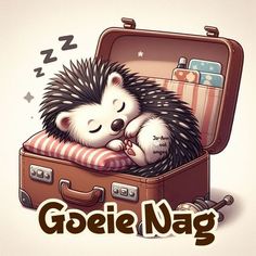 a hedge is sleeping in an open suitcase with the words goeti nag on it