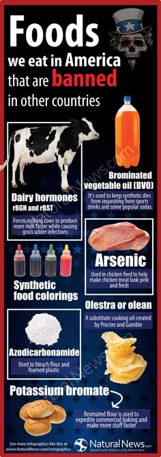 Foods Banned In Other Countries, Endocannabinoid System, America Food, Food Info, A Cow, Back To Nature