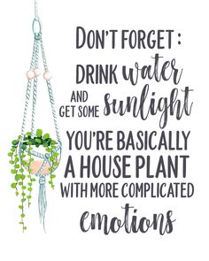 a quote that reads, don't forget drink water and get some sunlight you're basically a house plant with more complicated emotions