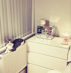 a cat sitting on top of a radiator next to a window