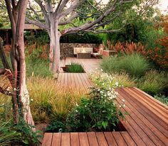 a wooden deck in the middle of a garden with lots of trees and plants around it