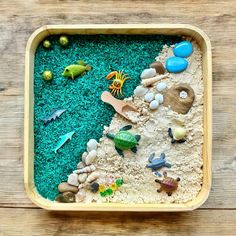 a wooden tray filled with sand and sea animals