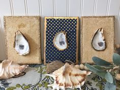 three seashells are sitting in small boxes on a table