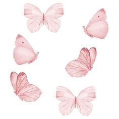 four pink butterflies on a white background