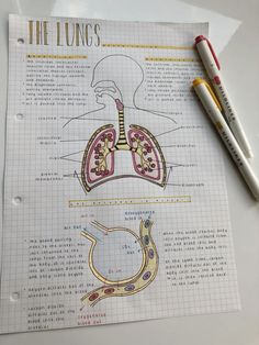 the lungs are labeled in this diagram and on top of a piece of paper with two markers