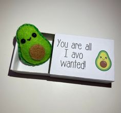 an avocado stuffed animal in a card box