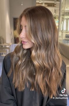 Rambut Brunette, Honey Brown Hair, Brown Hair Looks, Dreamy Aesthetic, Brown Hair Inspo, Brunette Hair With Highlights, Caramel Hair, Hair 2024, Brown Hair Balayage