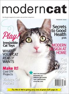 the front cover of modern cat magazine with a black and white cat looking at the camera