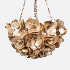 a chandelier made out of shells hanging from chains