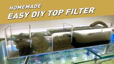 the homemade easy diy top filter is great for fish tanks and aquariums to keep them clean