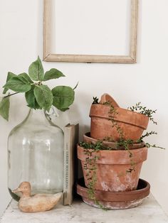 three clay pots with plants in them next to a book and a glass vase on a table