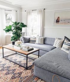 a living room filled with furniture and a large plant on top of a coffee table