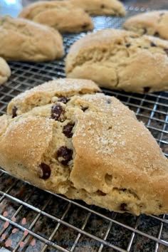 some cookies are cooling on a wire rack