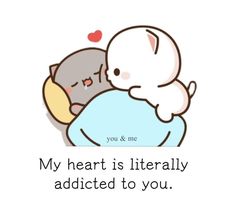 a couple of cats hugging each other with the caption'my heart is literally attached to you '