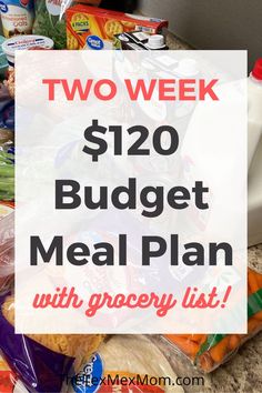 two week $ 120 budget meal plan with grocery list