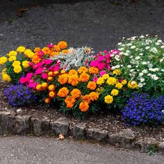 colorful flowers growing in the corner of a flower bed