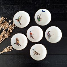 six small plates with birds painted on them next to some dried flowers and stalks in the foreground