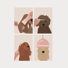 four different pictures of dogs with hair dryers on their heads and one is brushing the dog's teeth