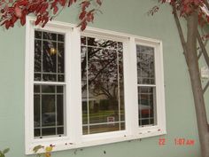 a tree with red leaves in front of a green wall and two windows that have white frames